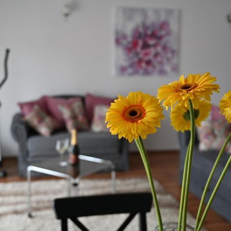 Apartmani Lucija Ludbreg Eksteriør billede